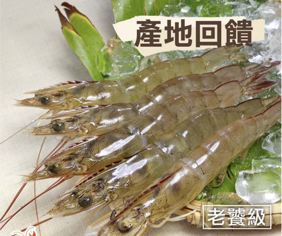 【蝦覓世界】中尾/老饕級-活凍生鮮白蝦（300g）一組/5包  