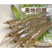 【蝦覓世界】中尾/老饕級-活凍生鮮白蝦（300g）一組/5包  